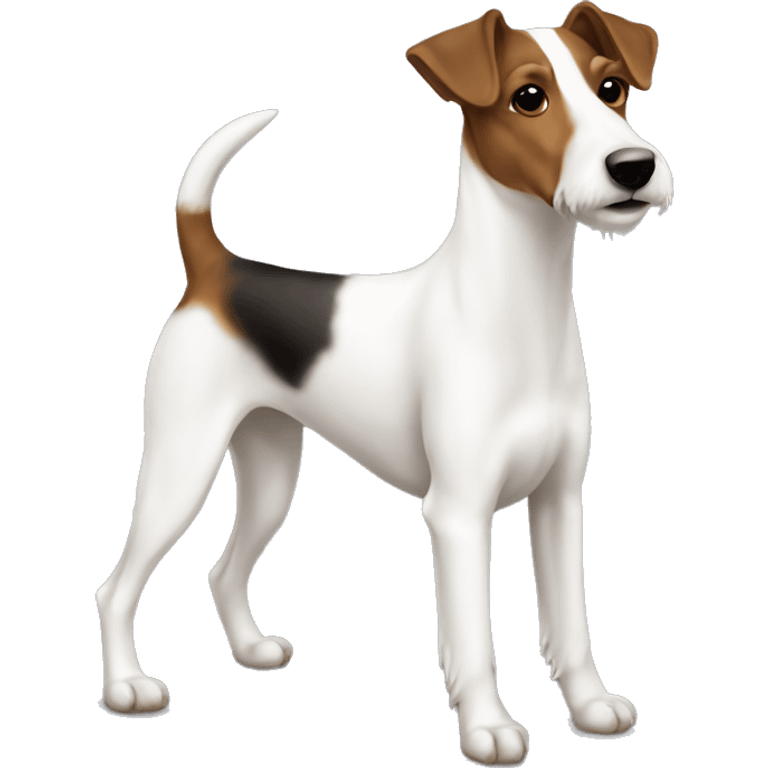 Old Smooth Fox Terrier white brown with sweater emoji