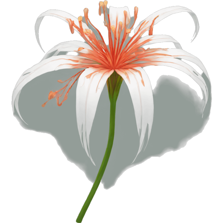 Spider lily emoji