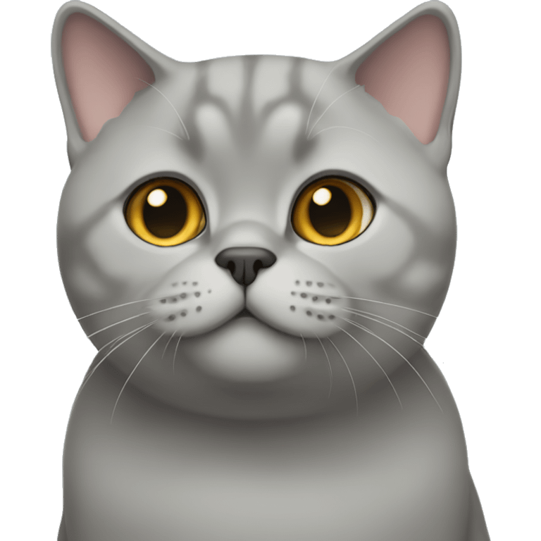 British shorthair emoji