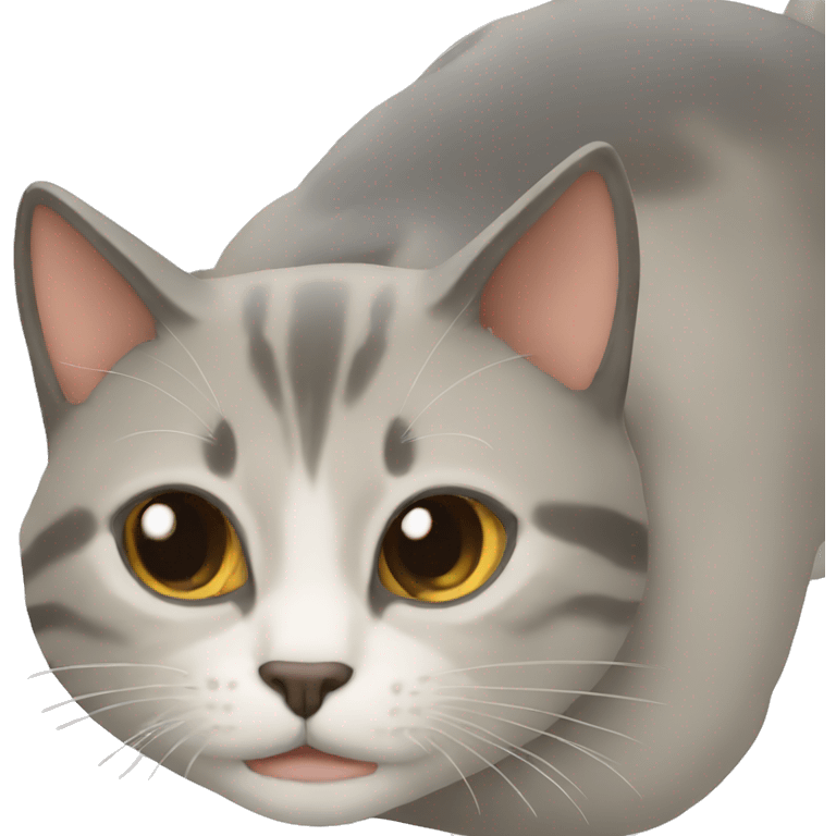 Gato mar emoji