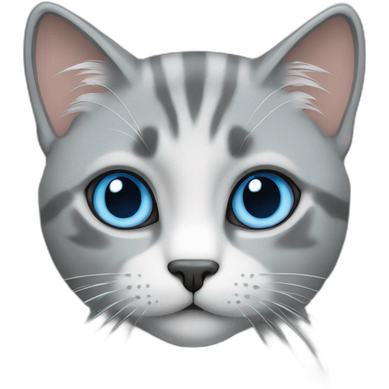 Blue eyed Grey Cat with smg emoji