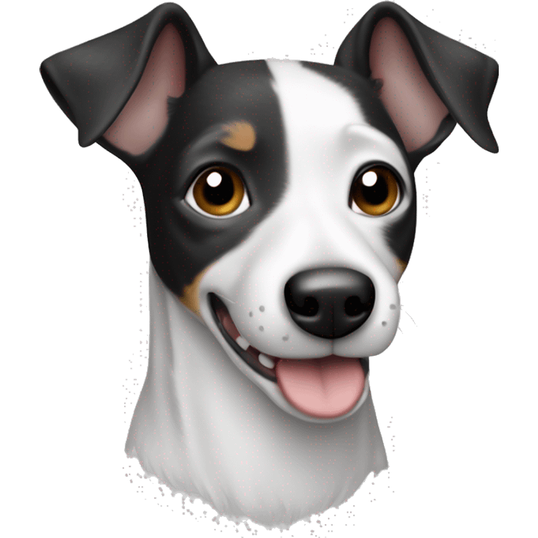 Black and white and grey jack russel rat terrier emoji