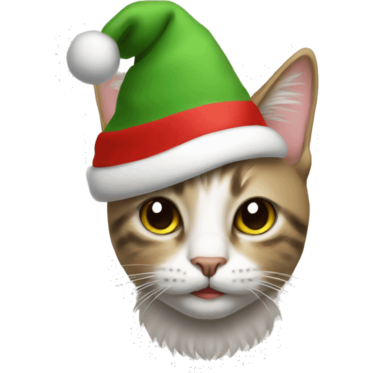 Cat with a Christmas hat emoji