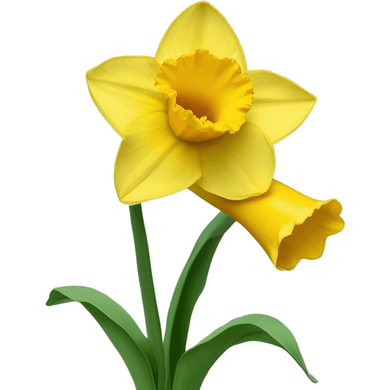 Daffodil emoji