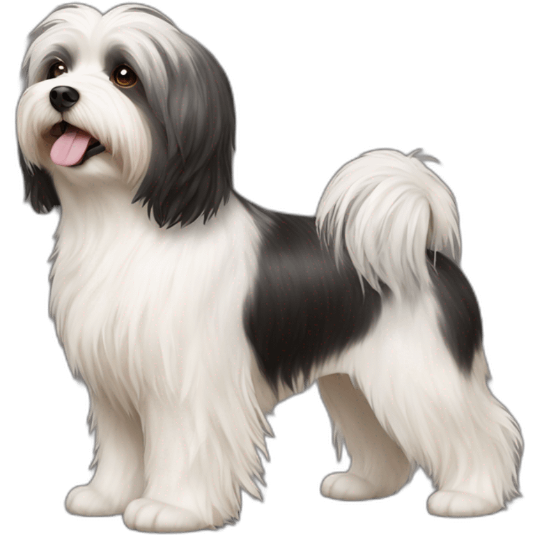 Dog havanese full height emoji