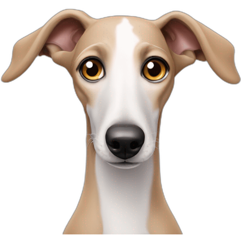 Cute eyes Galgo dog emoji