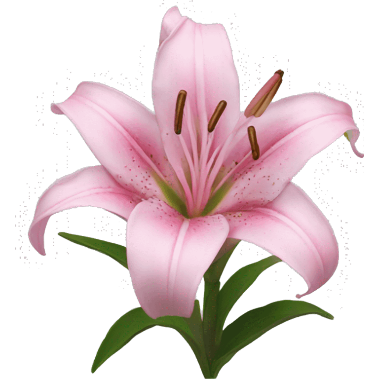 pink lilies  emoji