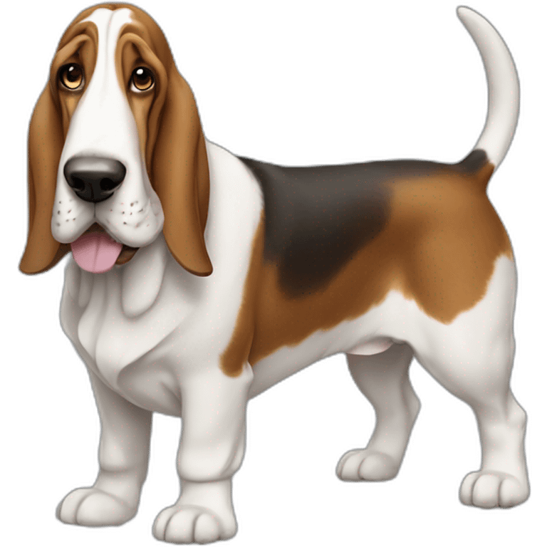 Dog-basset-hound-full-height emoji