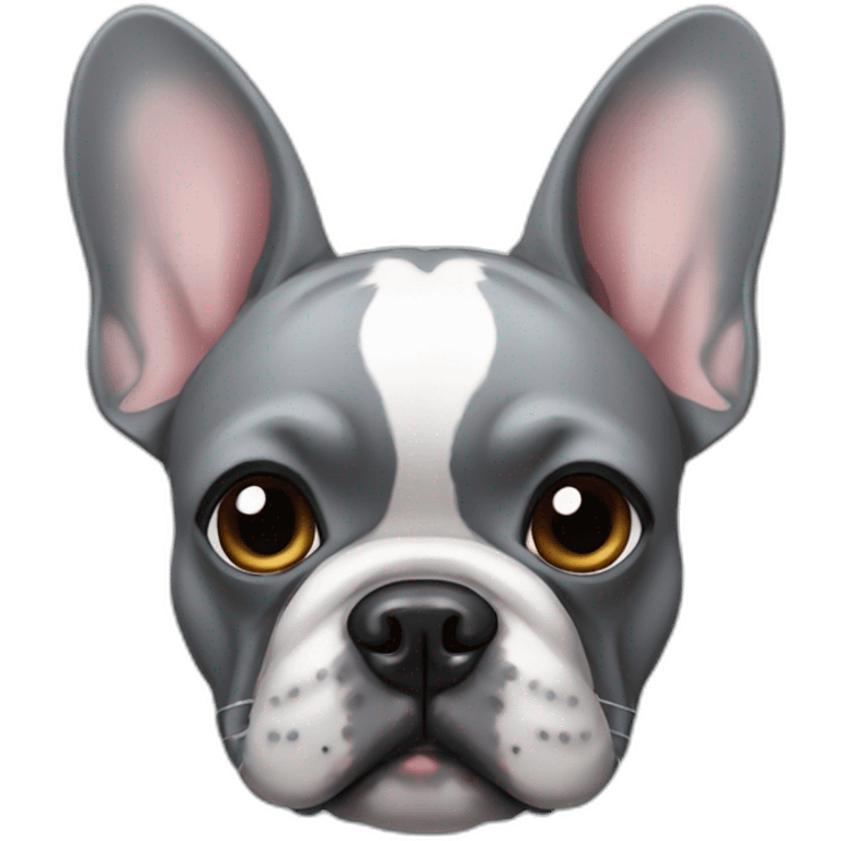 grey french bulldog head emoji