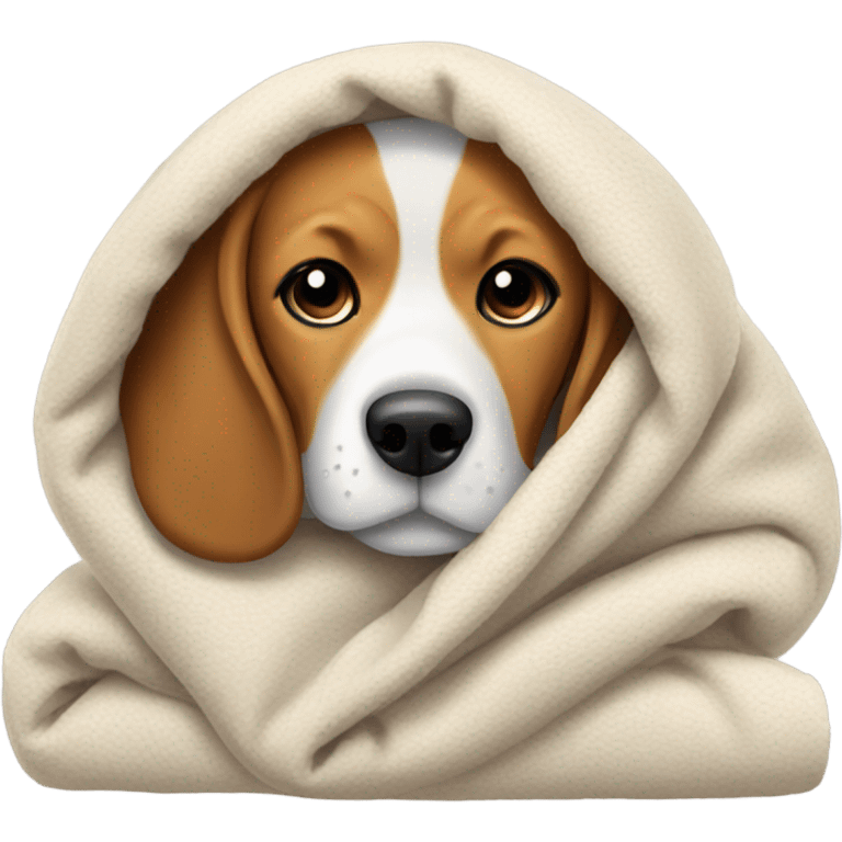 Beagle under warm cozy blanket emoji