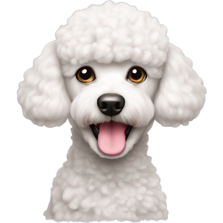 White mini poodle with pink nose emoji