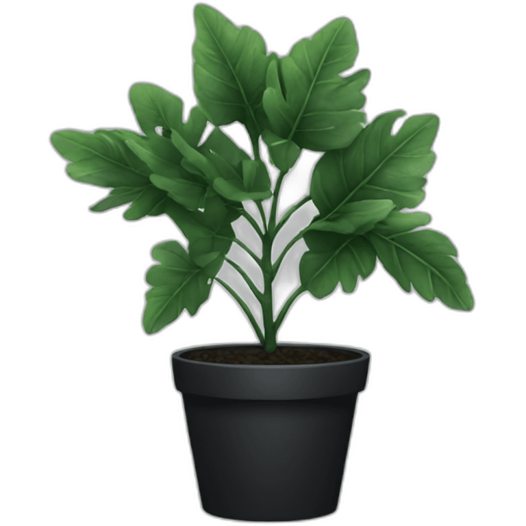 Plant with black leaves  emoji