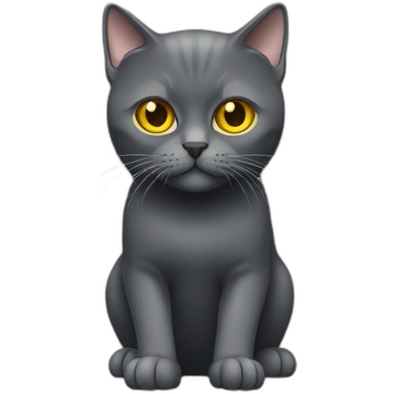 british dark gray short hair cat yellow eyes with gun emoji