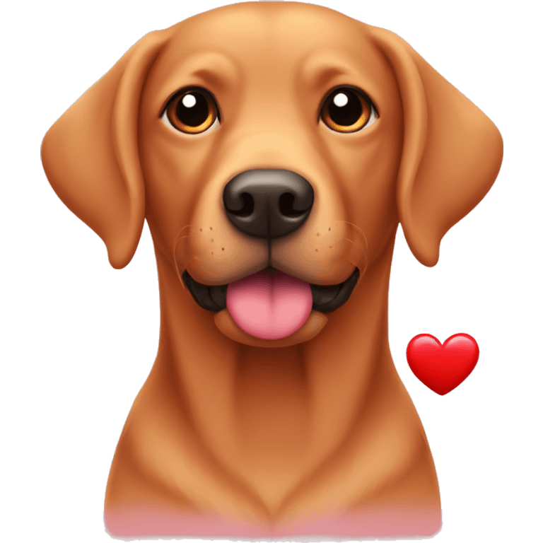 Red Labrador holding a heart emoji