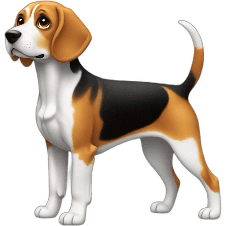 beagle，full body，back view emoji