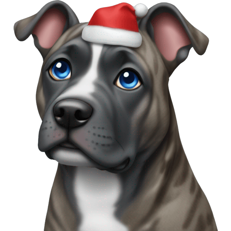 Blue eyesCane corso blue brindle in a Christmas hat emoji