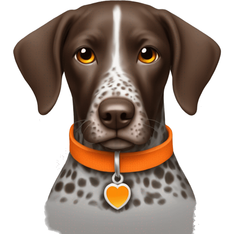 German shorthair pointer with orange collar emoji