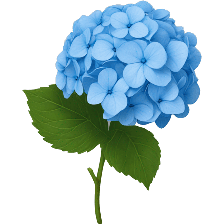 Hydrangea flower blue emoji