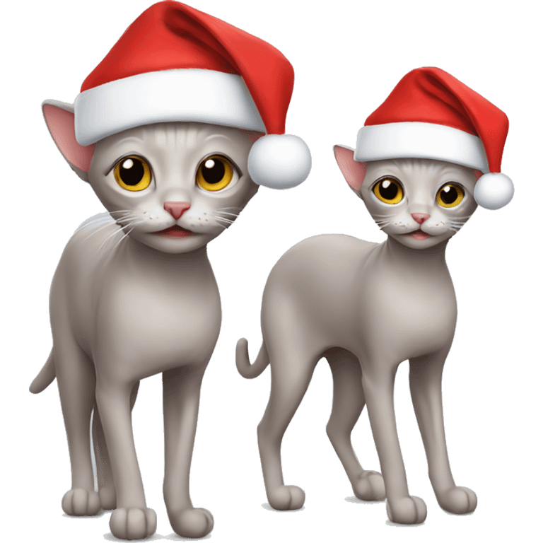 Hairless cat wearing Santa hat emoji