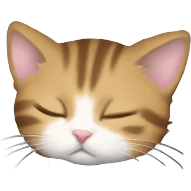 kitten sleeping on piano keys emoji