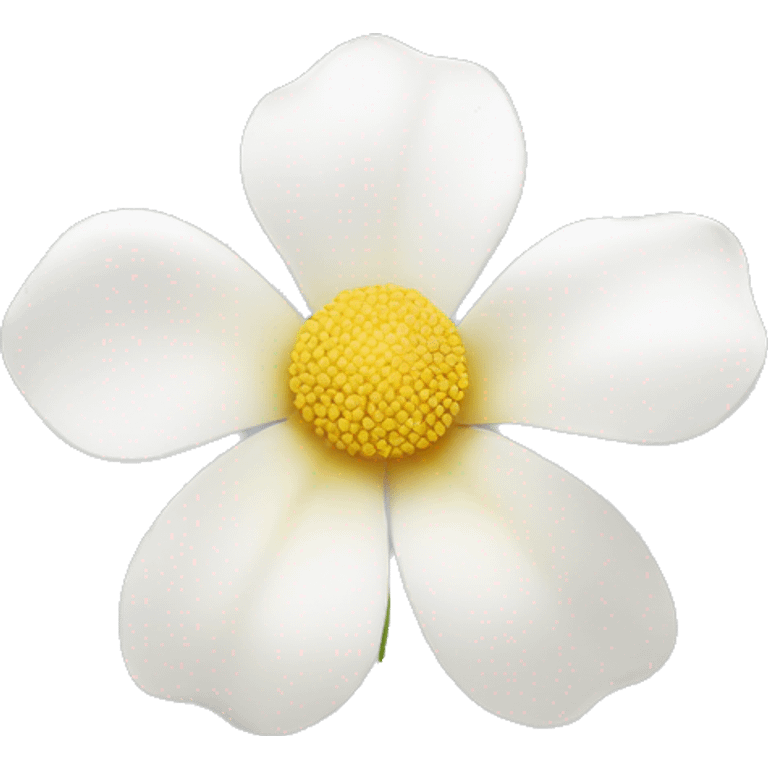 white flower without leafs emoji