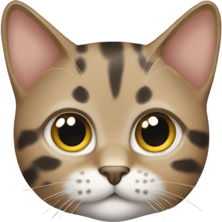 Spotted tabby short hair cat  emoji