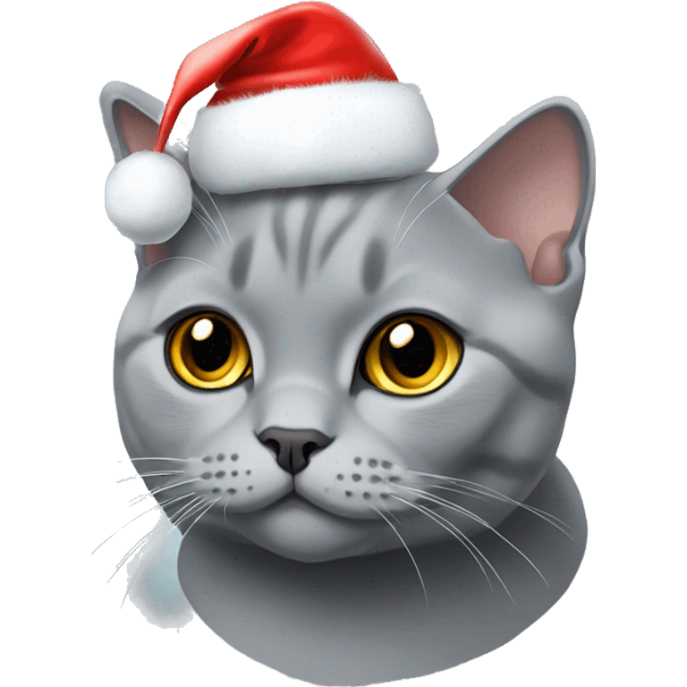 cat grey british shorthair with christmas hat emoji