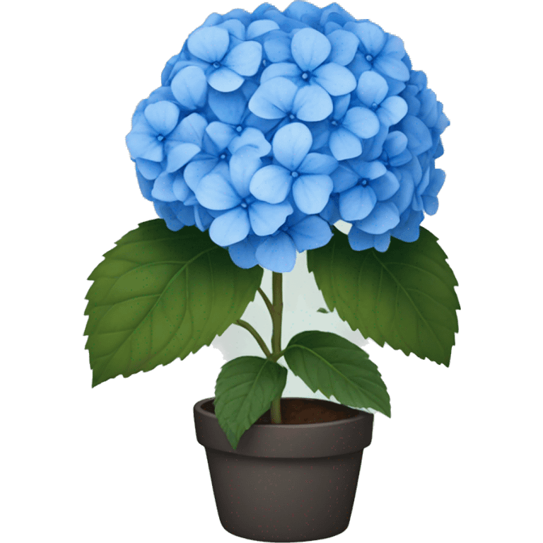 blue hydrangea  emoji