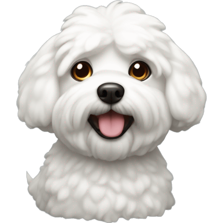 bischon frise dog  emoji