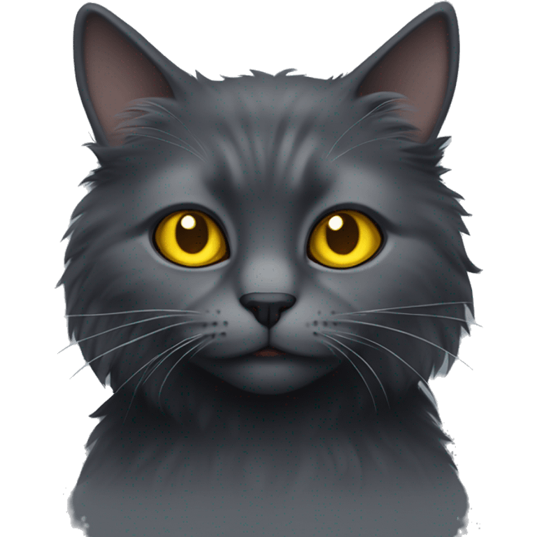 Fluffy dark grey cat with yellow eyes emoji