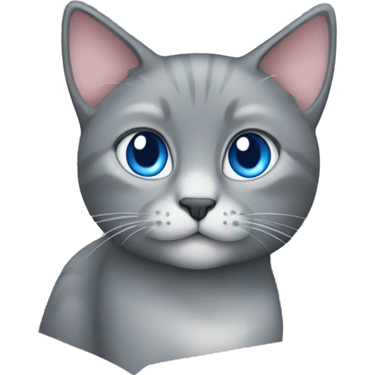 grey cat blue eyes sitting in the box  emoji