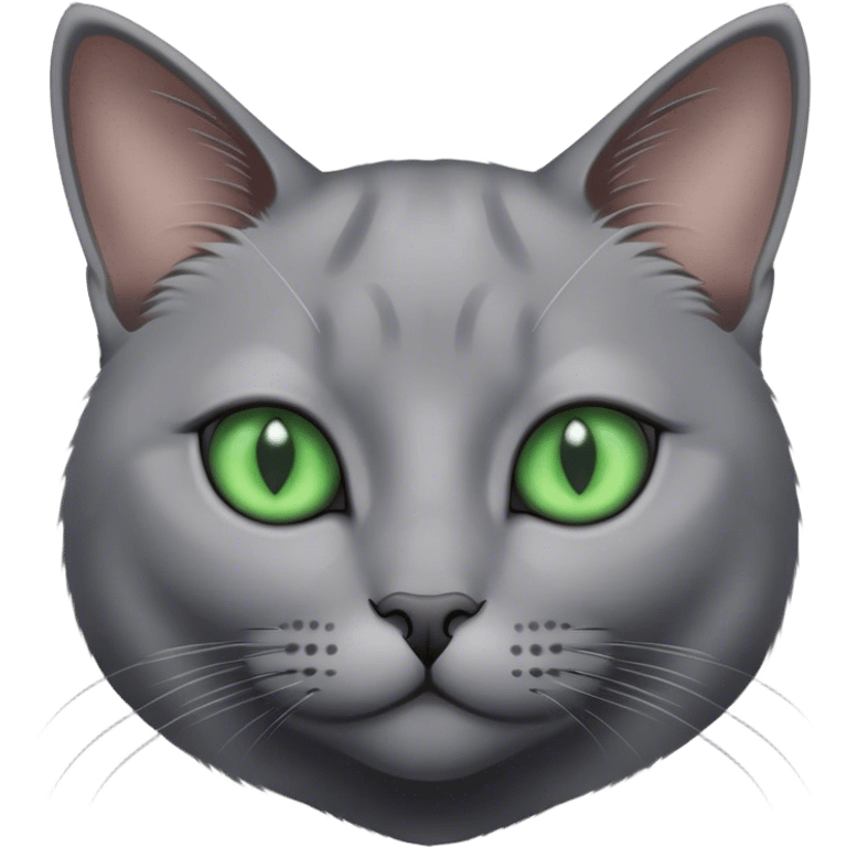 Realistic grey cat with green eyes emoji