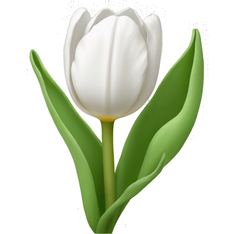 White tulip  emoji