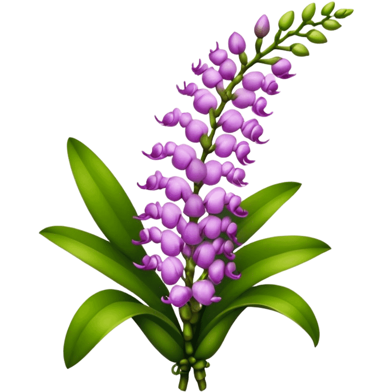 luxuriant bouquet Rhynchostylis Orchid, stem, leaf emoji