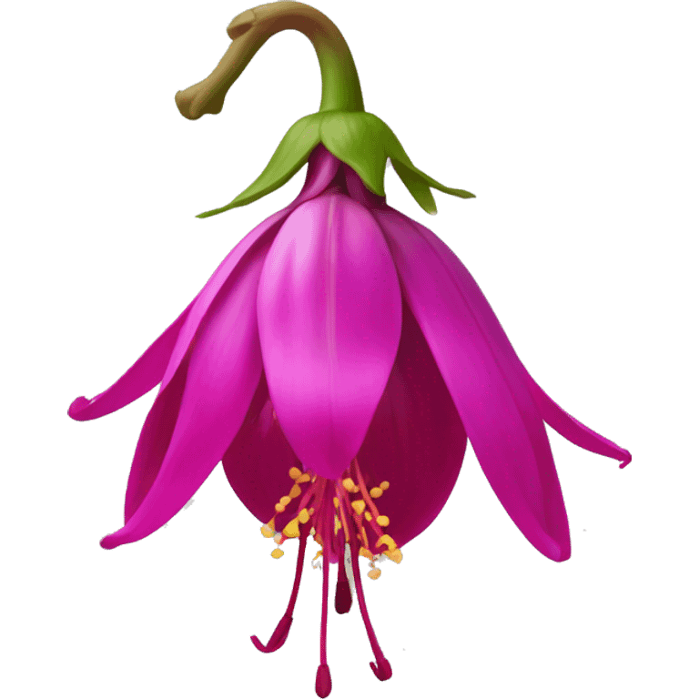 Hybrid Fuchsia emoji