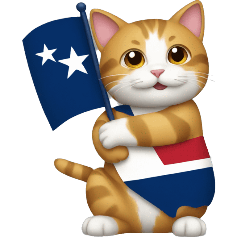 cat hugging texas flag emoji