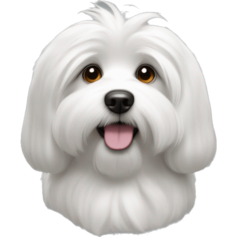 coton de tulear, le visage blanc, les poils des oreilles gris foncé. emoji