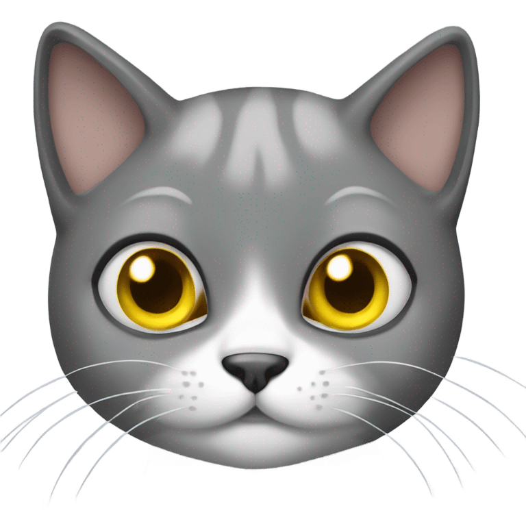 A cute gray cat with yellow eyes and a white neck holds a turd in its paws emoji