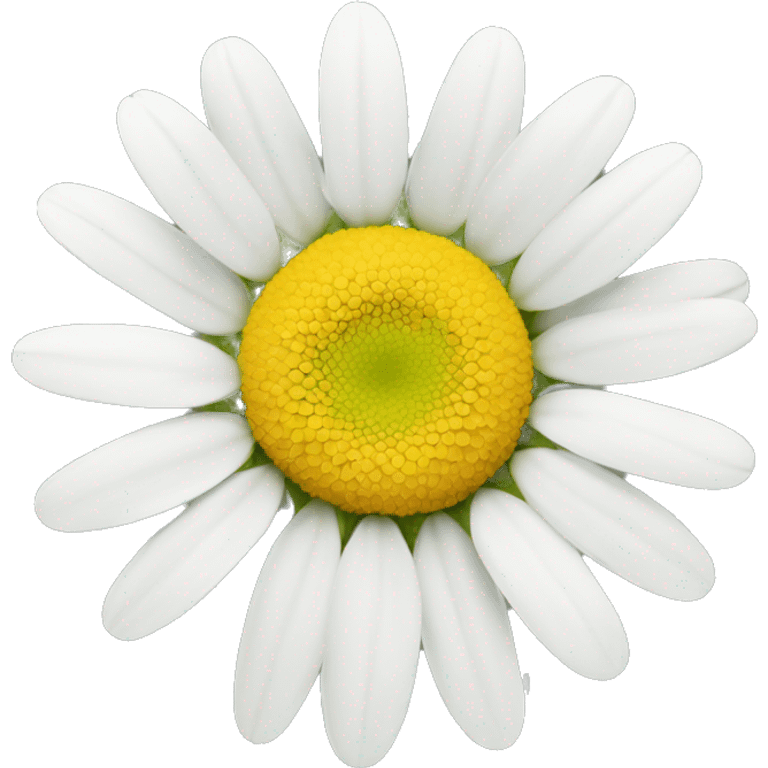 daisy flower emoji