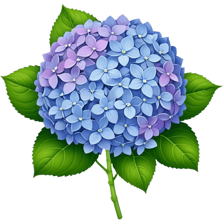 hydrangea emoji