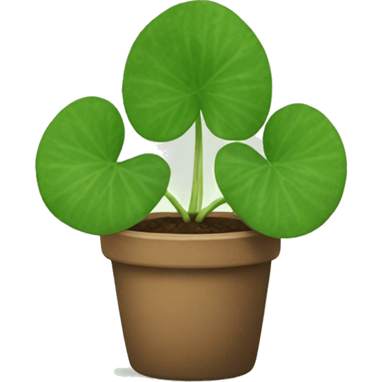 pilea plant emoji