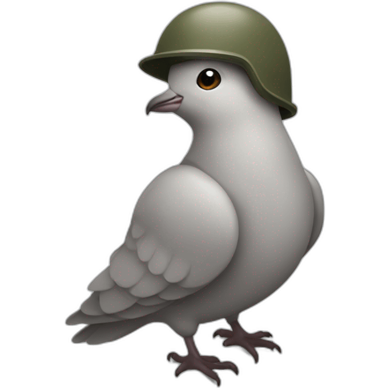 Dove wearing army helmet emoji