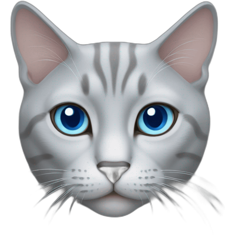 Grey Thailand cat blue eyes  emoji