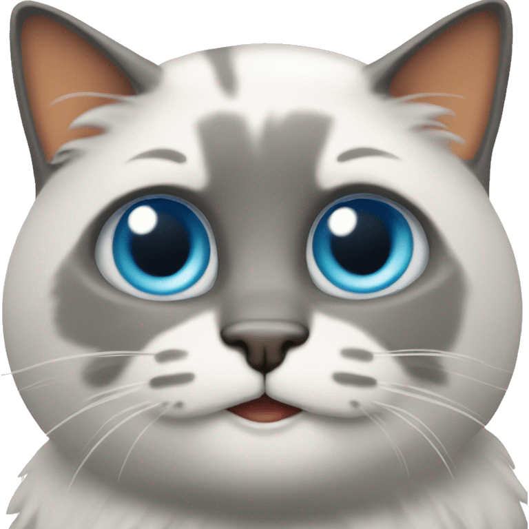 gato con bots emoji