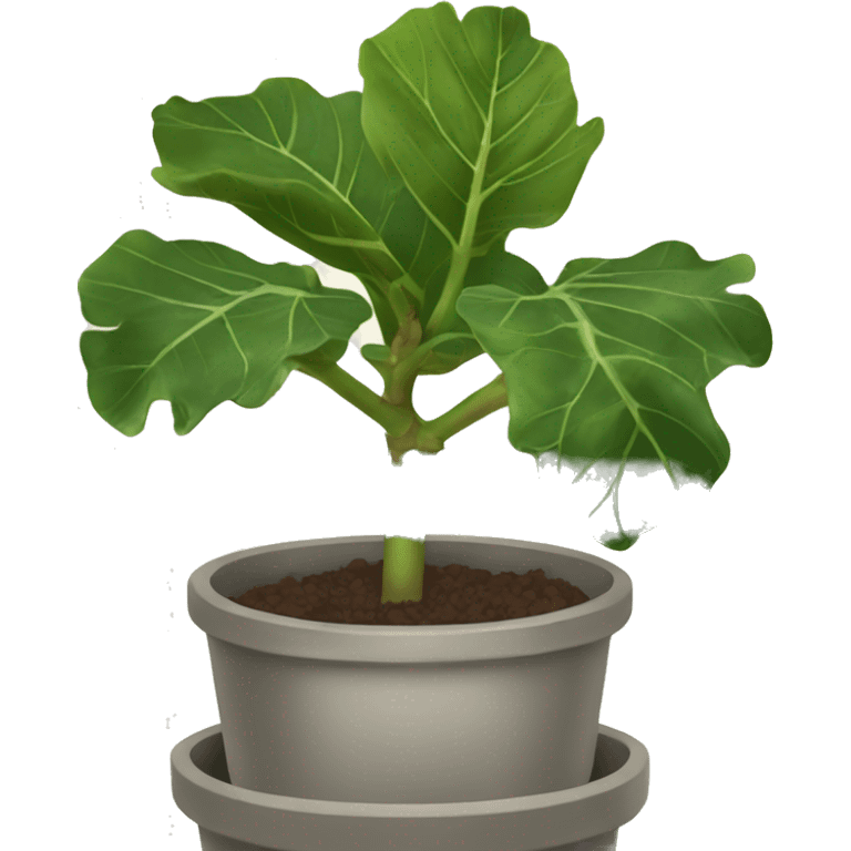 fiddle leaf fig emoji