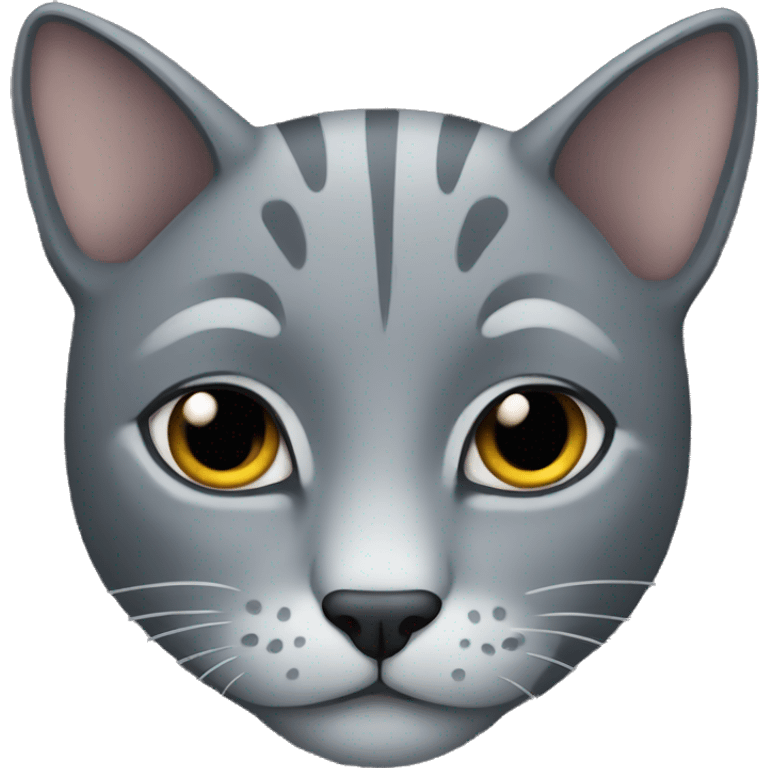 Big grey cat emoji