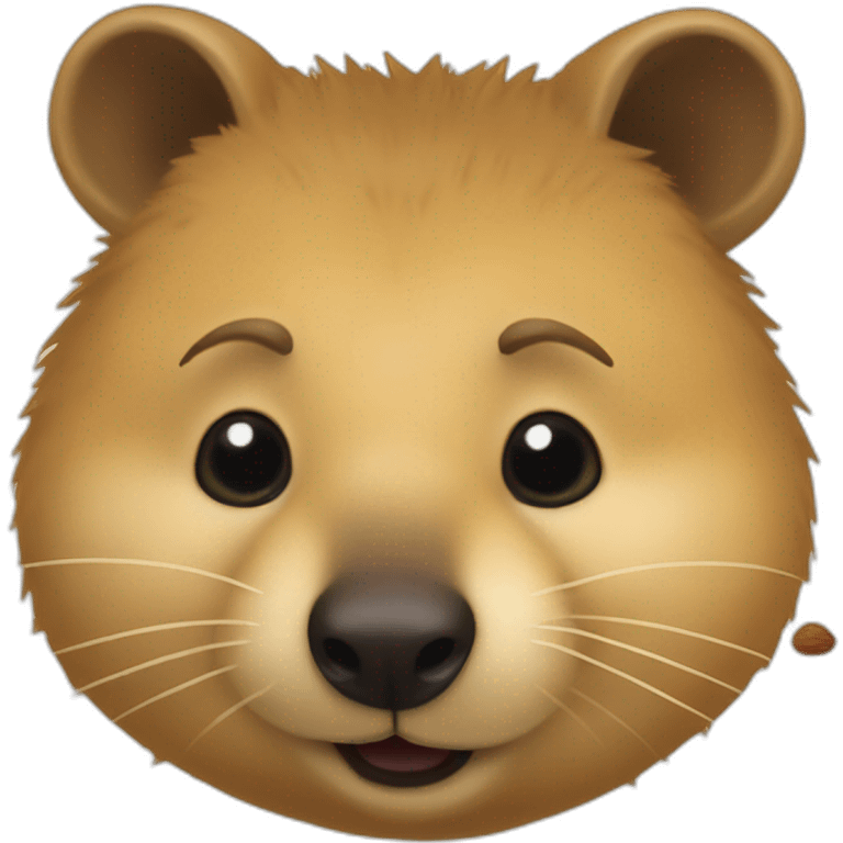 a cute quokka eating a shmall pine nut  emoji