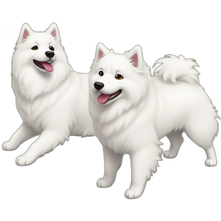 Samoyed and aussie playing emoji