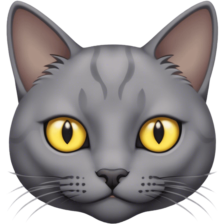 Gray cat with yellow eyes and black pupils emoji