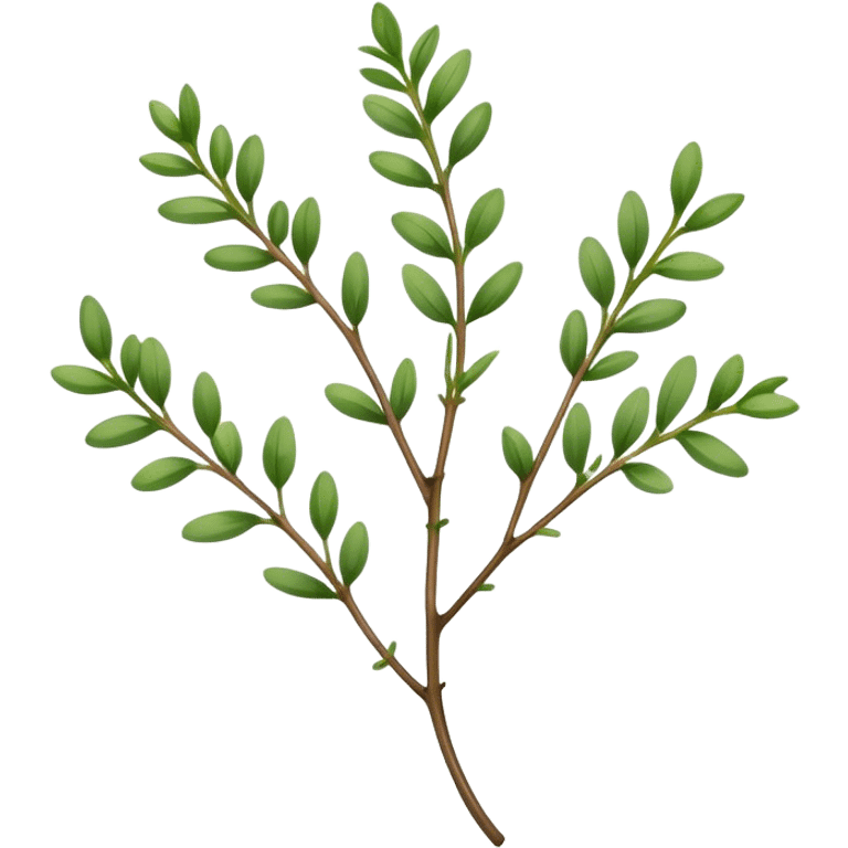 Cinematic Realistic Thyme Emoji, Compact and earthy, with tiny green leaves densely packed on delicate stems. The soft fragrance of the leaves fills the air, creating an atmosphere of warmth and subtle richness. Soft glowing outline, capturing the essence of simplicity and natural healing in a sprig of thyme! emoji